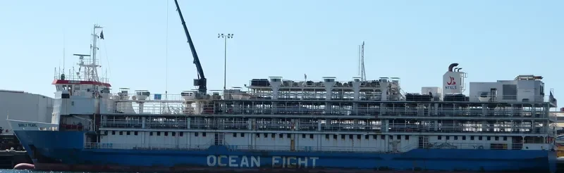BARKLY PEARL General Cargo IMO 9042295 photo 8