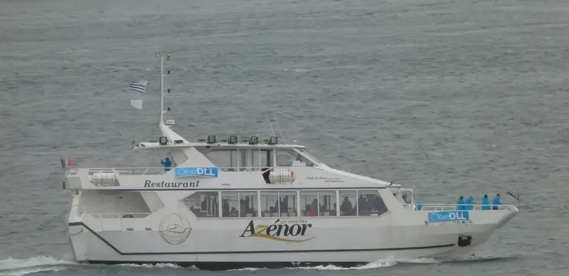 AZENOR Passenger Ship IMO 9042611 photo 3