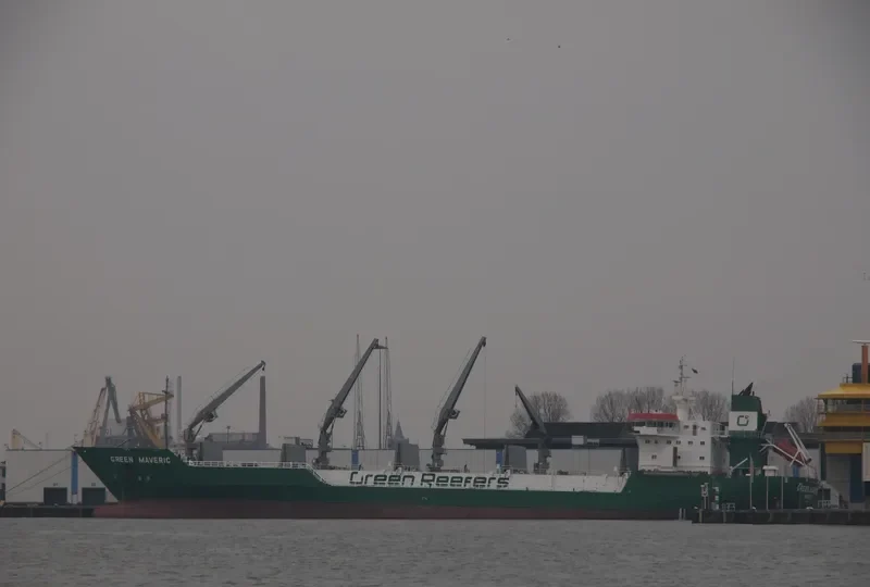 GREEN MAVERIC General Cargo IMO 9043055 photo 8