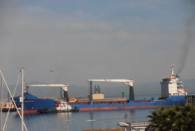 GOLDEN ENDURANCE General Cargo IMO 9043110 photo 5