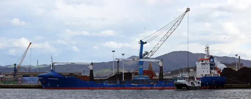 GOLDEN ENDURANCE General Cargo IMO 9043110 photo 6