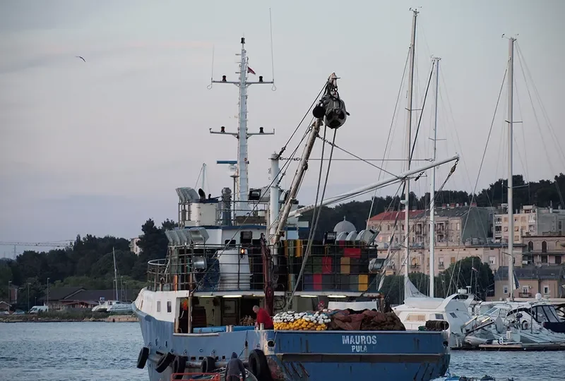 MAUROS General Cargo IMO 9043237
