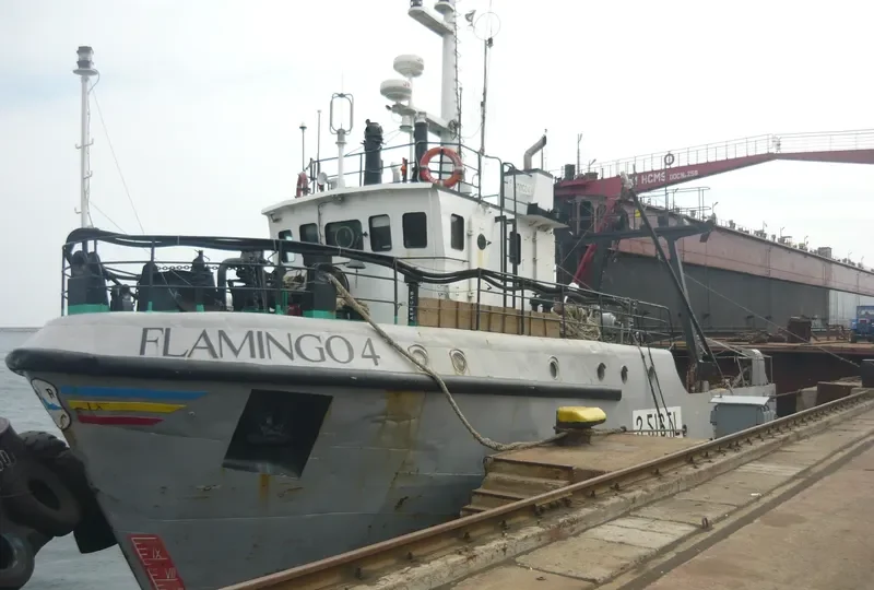 FLAMINGO 4 General Cargo IMO 9043249 photo 3