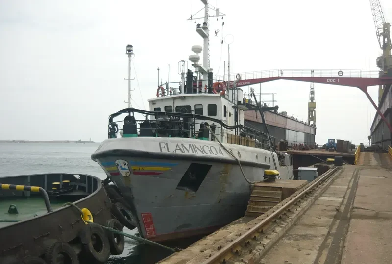 FLAMINGO 4 General Cargo IMO 9043249 photo 4
