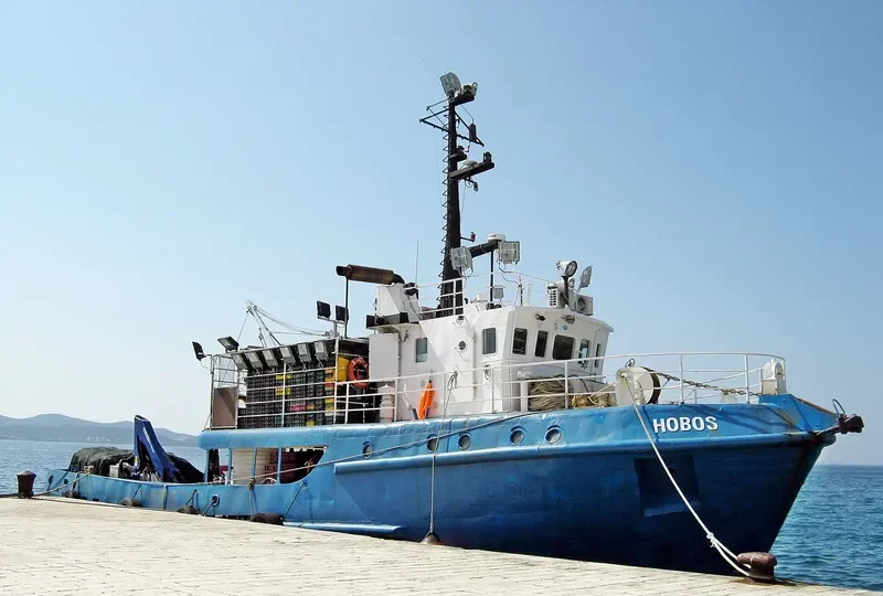 HOBOS General Cargo IMO 9043251 photo 4