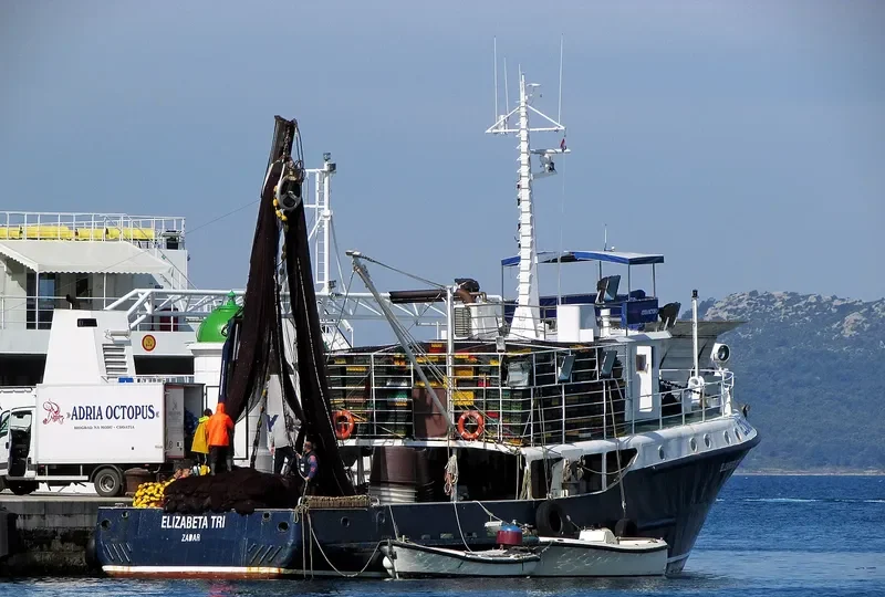 ELIZABETA TRI General Cargo IMO 9043263