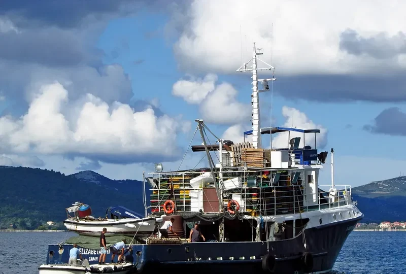 ELIZABETA TRI General Cargo IMO 9043263 photo 4