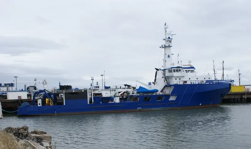 SEAWARD ENDEAVOR General Cargo IMO 9043885 photo 2