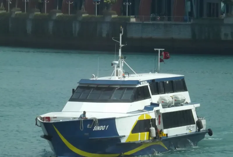 SINDO 1 Passenger Ship IMO 9043964 photo 5
