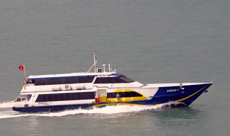 SINDO 1 Passenger Ship IMO 9043964 photo 9