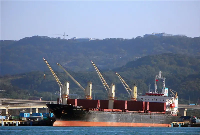 HUI SHUN Bulk Carrier IMO 9044023 photo 5