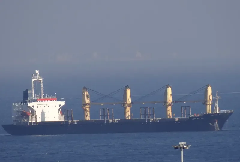 HUI SHUN Bulk Carrier IMO 9044023 photo 8