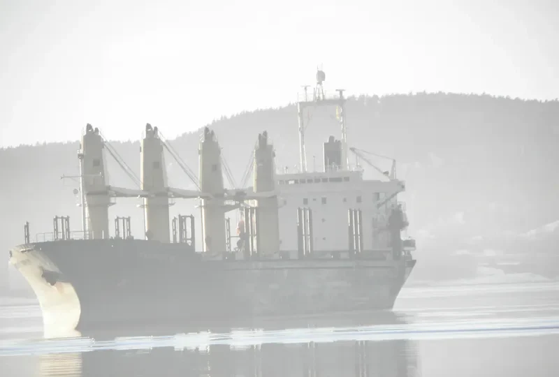 QI CHEN Bulk Carrier IMO 9044035 photo 7