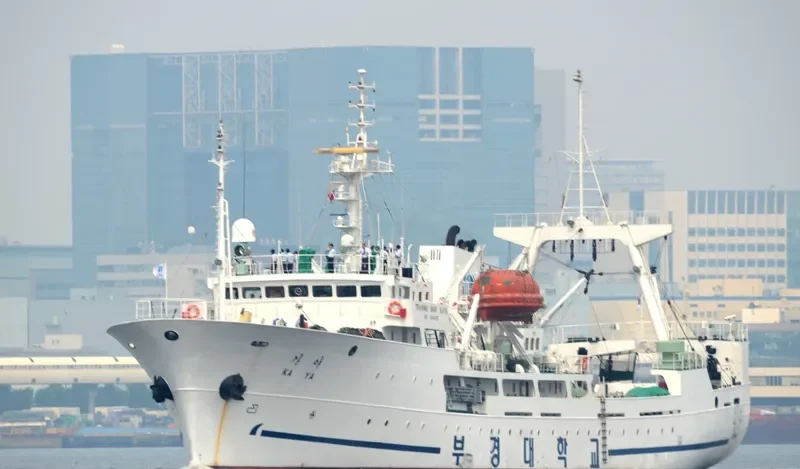 KAYA General Cargo IMO 9044126 photo 6