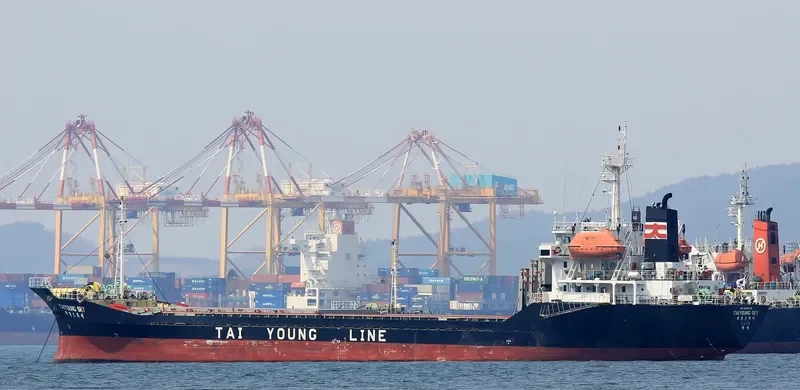 YOUNG SKY General Cargo IMO 9044176