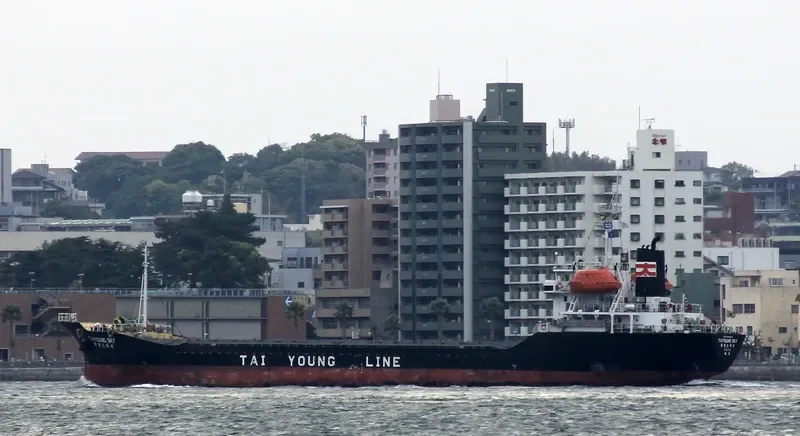 YOUNG SKY General Cargo IMO 9044176 photo 3