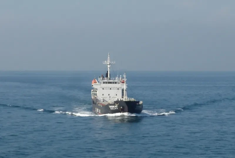 YOUNG SKY General Cargo IMO 9044176 photo 6