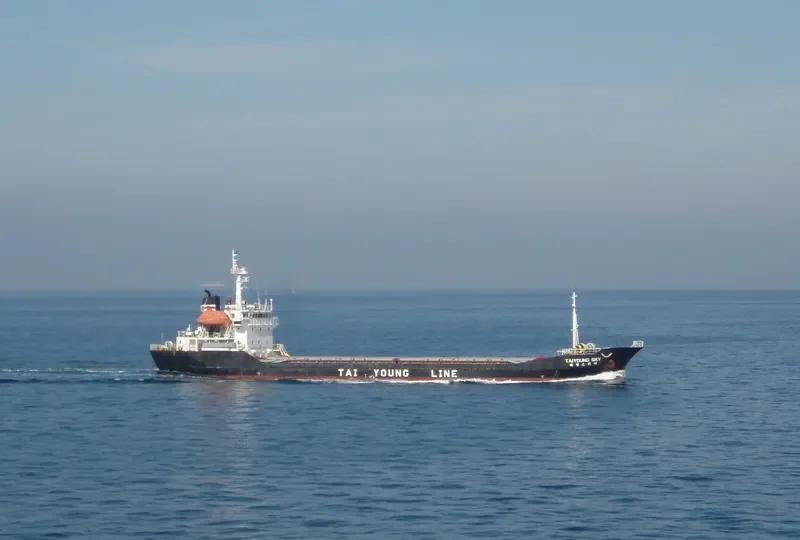YOUNG SKY General Cargo IMO 9044176 photo 7