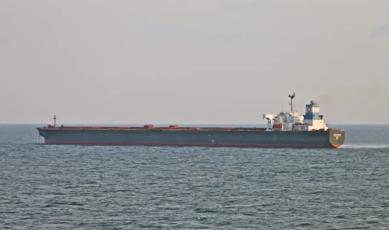 STELLAR EAGLE Bulk Carrier IMO 9044229 photo 2
