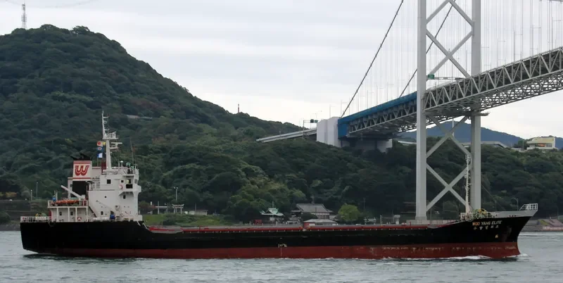 WOOYANG ELITE General Cargo IMO 9044255 photo 9