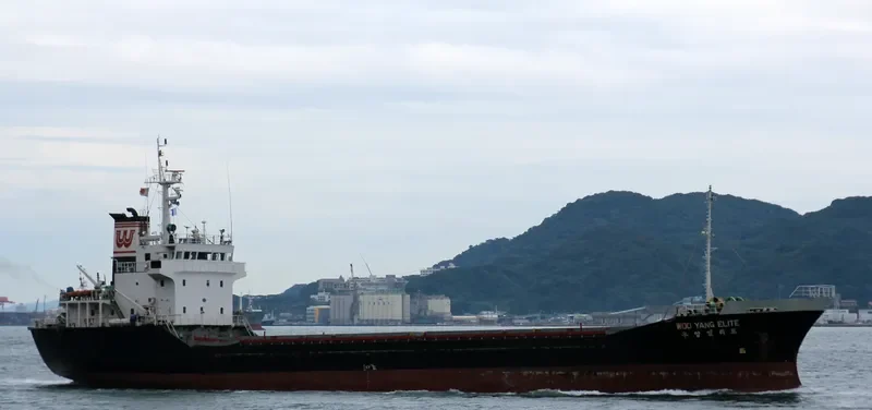 WOOYANG ELITE General Cargo IMO 9044255 photo 10