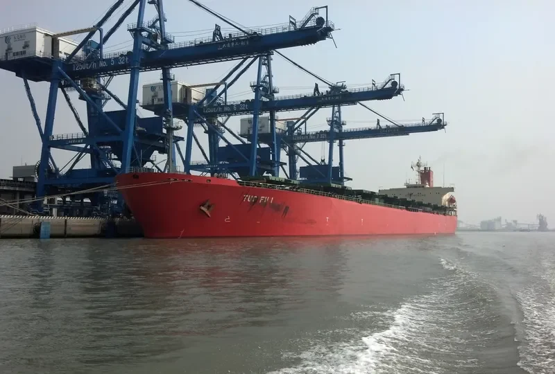 TUO FU 1 Bulk Carrier IMO 9044451 photo 2