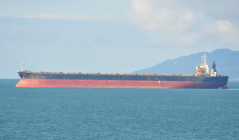 CHIKUZEN 8 Bulk Carrier IMO 9044463