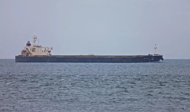CHIKUZEN 8 Bulk Carrier IMO 9044463 photo 3