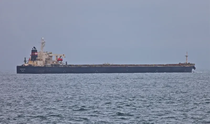 CHIKUZEN 8 Bulk Carrier IMO 9044463 photo 7
