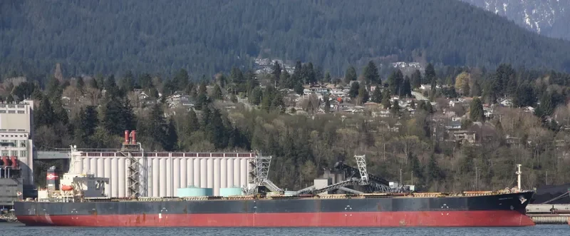 CHIKUZEN 8 Bulk Carrier IMO 9044463 photo 8
