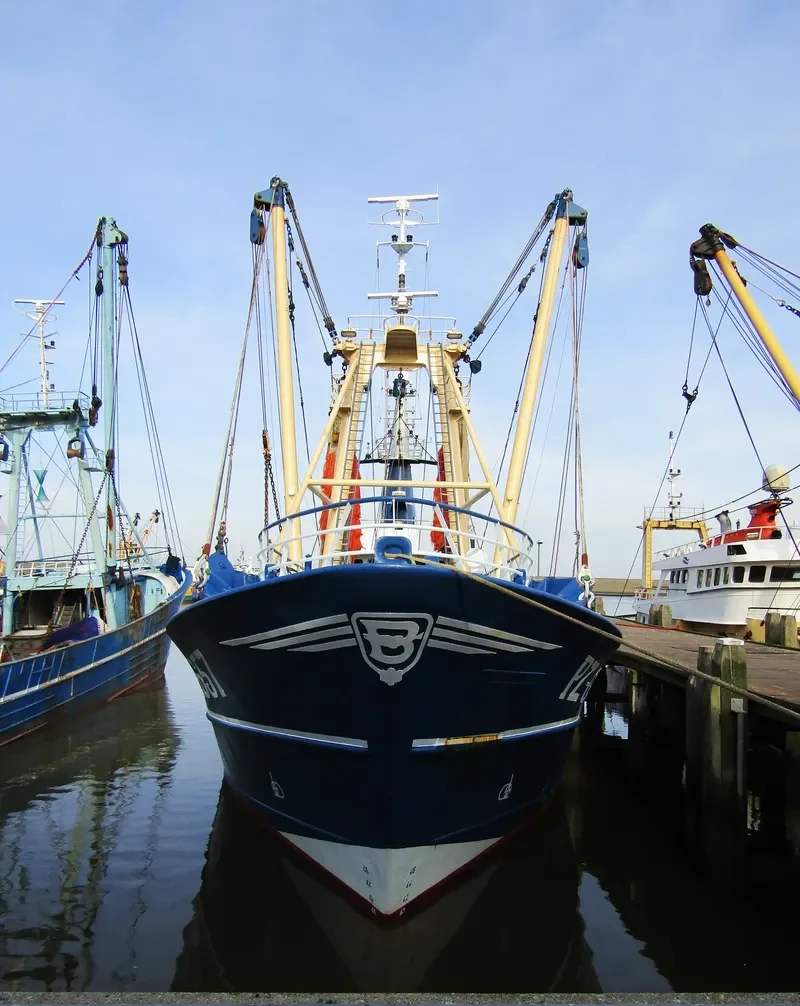 OUR ANNA General Cargo IMO 9044554 photo 6