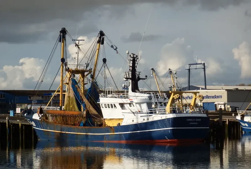 CORNELIS SENIOR General Cargo IMO 9044578