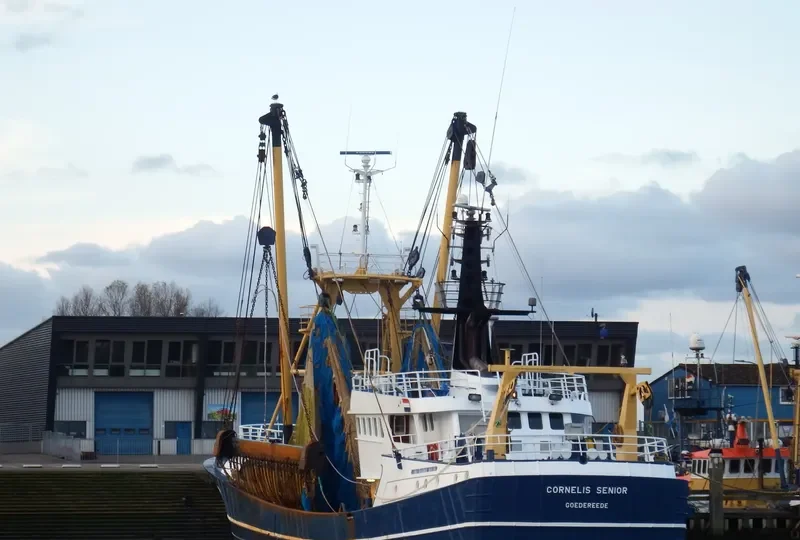 CORNELIS SENIOR General Cargo IMO 9044578 photo 2