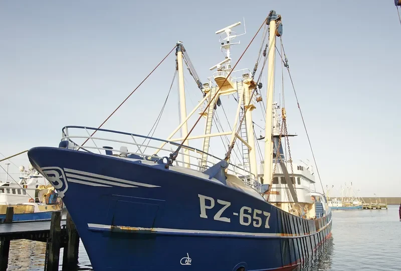 CORNELIS SENIOR General Cargo IMO 9044578 photo 10