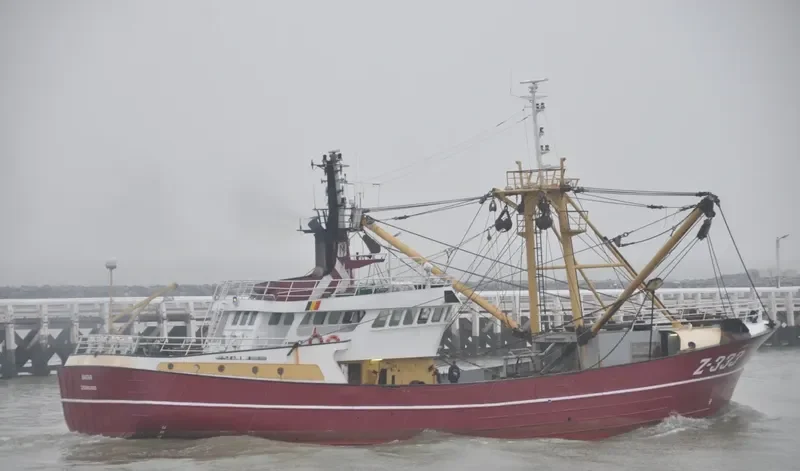 AVATAR General Cargo IMO 9044580 photo 7