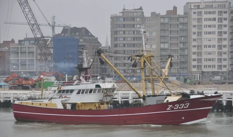 AVATAR General Cargo IMO 9044580 photo 8