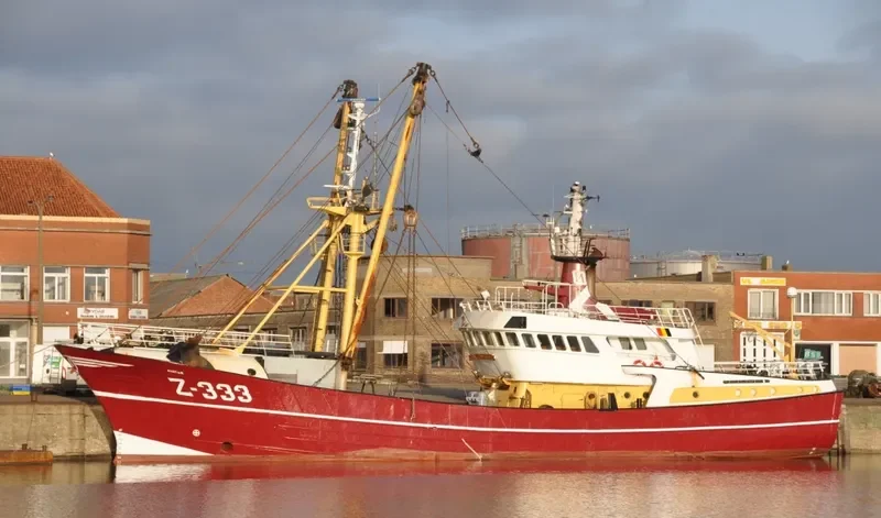 AVATAR General Cargo IMO 9044580 photo 10