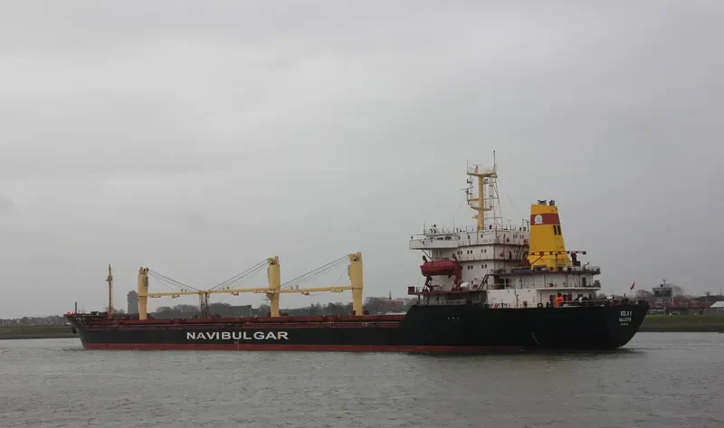 VOLA 1 Bulk Carrier IMO 9044700 photo 9