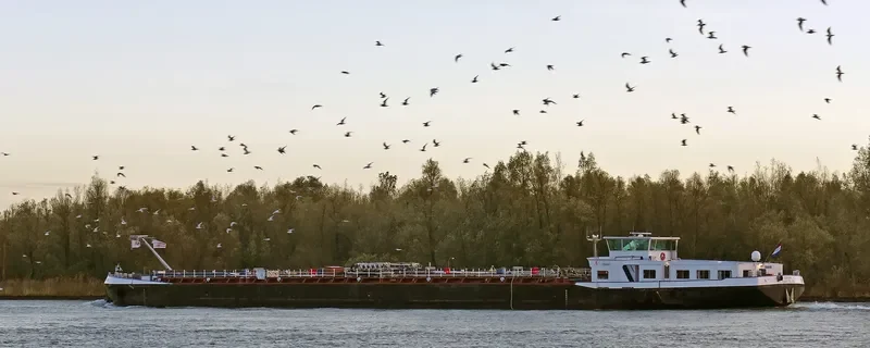 SERDON Tanker IMO 9044724 photo 2