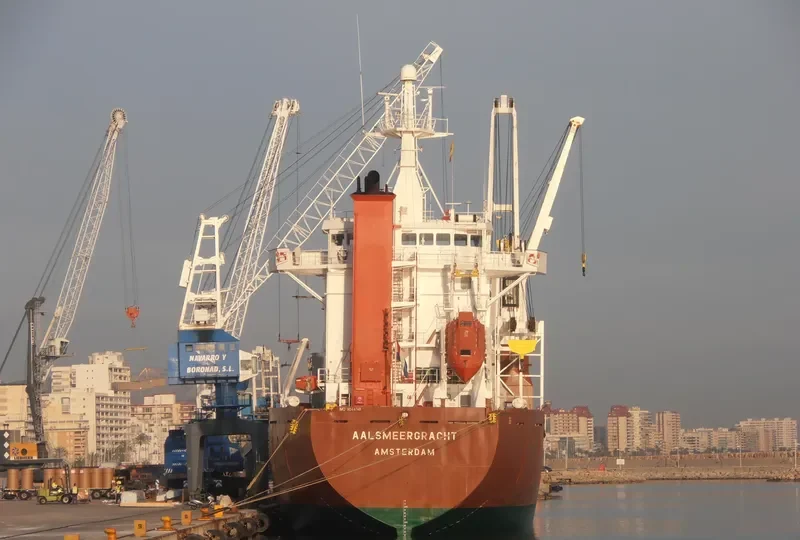 GRIGORIY SHELIKHOV General Cargo IMO 9044748 photo 5