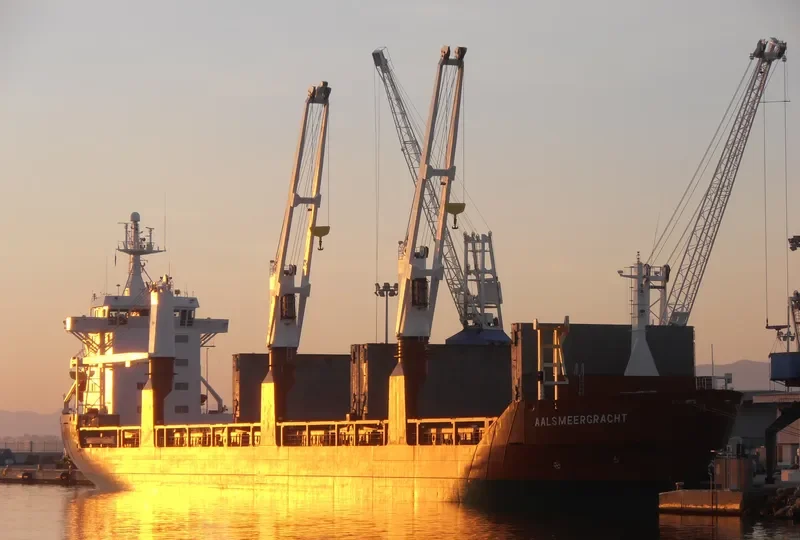 GRIGORIY SHELIKHOV General Cargo IMO 9044748 photo 8