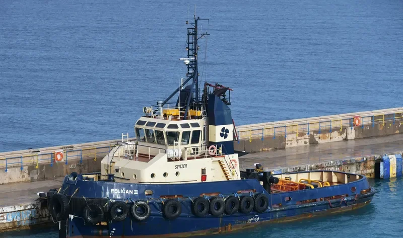 SVITZER PELICAN General Cargo IMO 9044815 photo 6