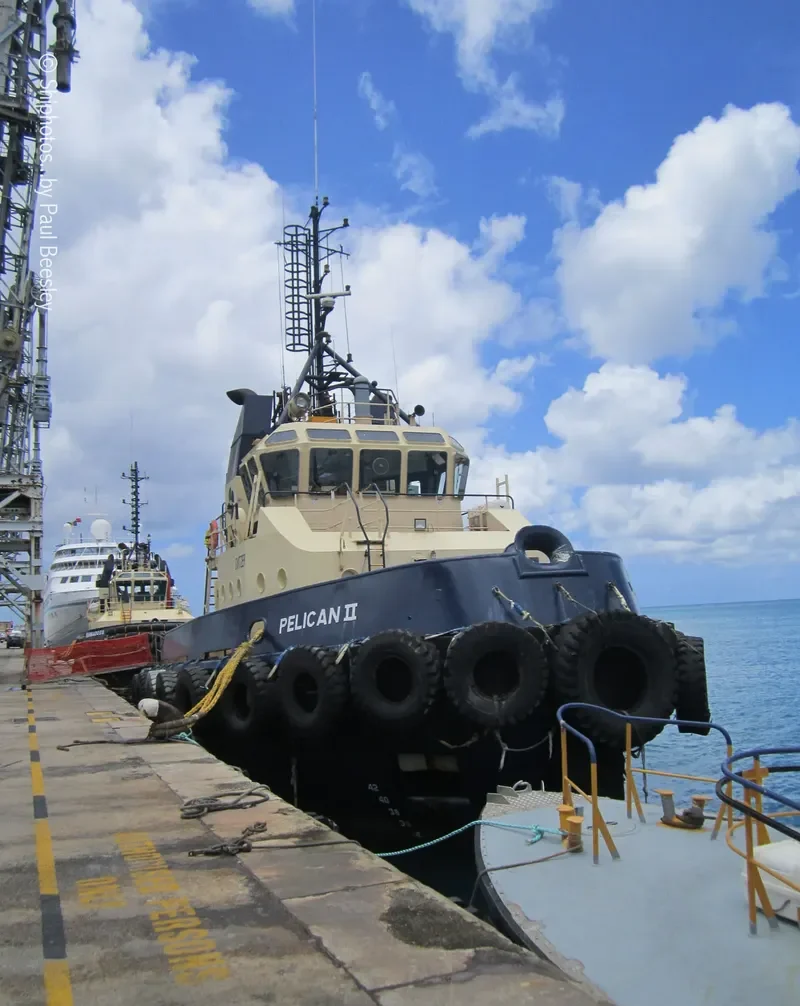 SVITZER PELICAN General Cargo IMO 9044815 photo 10