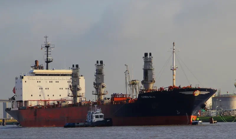 LADY MELIS Bulk Carrier IMO 9044920
