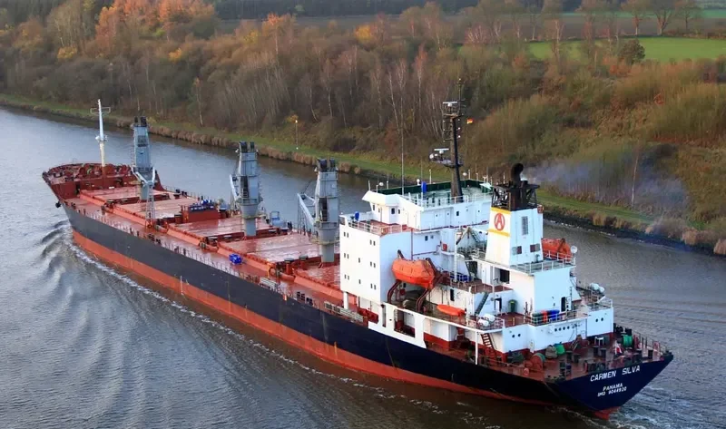 LADY MELIS Bulk Carrier IMO 9044920 photo 5