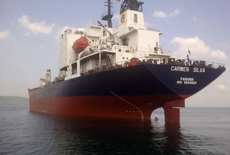 LADY MELIS Bulk Carrier IMO 9044920 photo 6