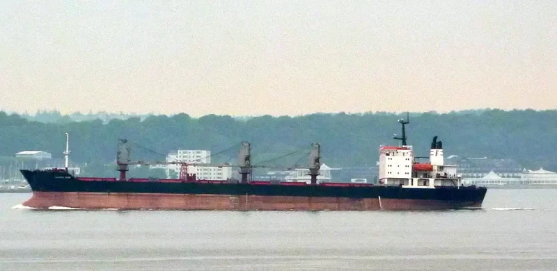 LADY MELIS Bulk Carrier IMO 9044920 photo 8