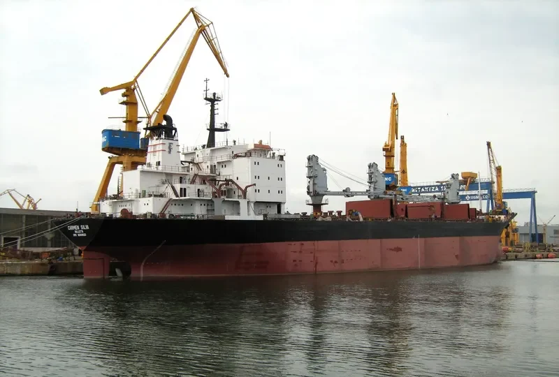 LADY MELIS Bulk Carrier IMO 9044920 photo 10