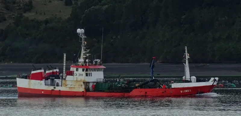 SEINES General Cargo IMO 9044970 photo 5