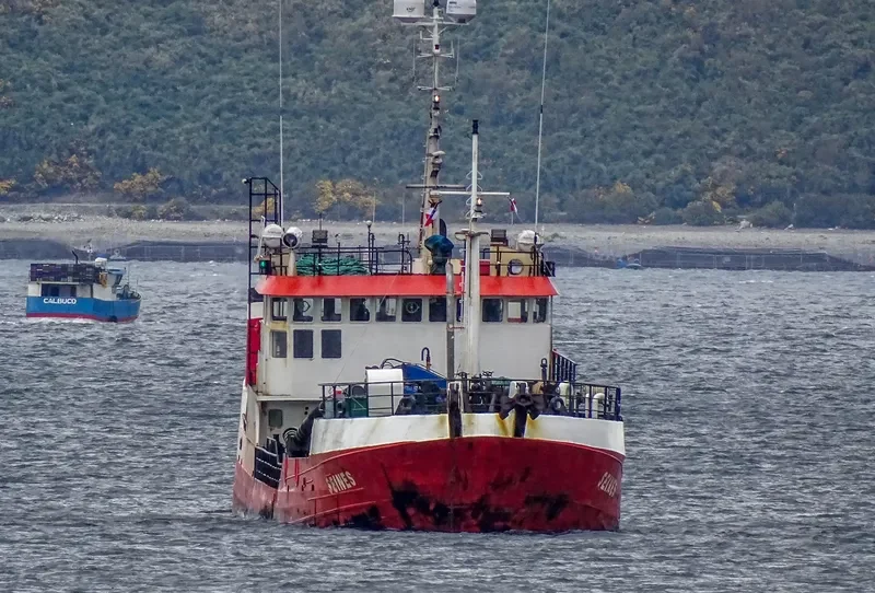SEINES General Cargo IMO 9044970 photo 6